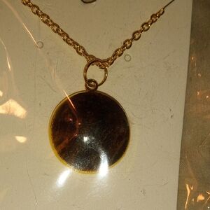 Handcrafted Nebraska River Rock Elegant Gold Pendant Necklace